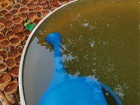 https://www.antoineolivier.com/files/gimgs/th-58_58_nordestaao-18.jpg